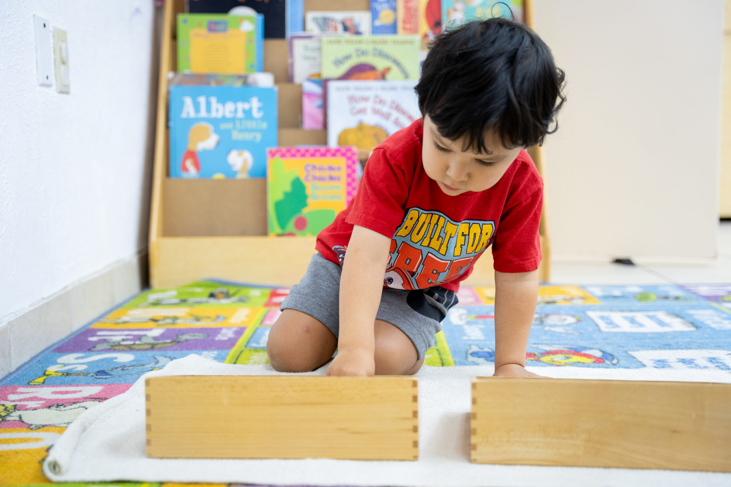 https://richmondhillmontessoriplano.com/